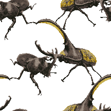 甲虫（かぶとむし）