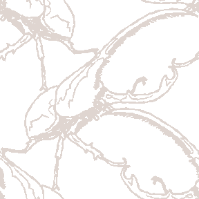 058 単色ヘラクレスオオカブト＞甲虫（かぶとむし）のテキスタイル図案／非商用無料イラスト