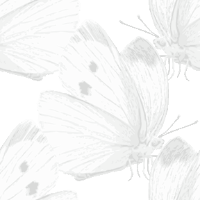 102 リアル紋白蝶＞蝶（アゲハチョウ）のテキスタイル図案／非商用無料イラスト