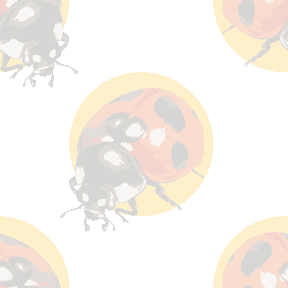 リアルタッチ水玉テントウ虫の背景図案