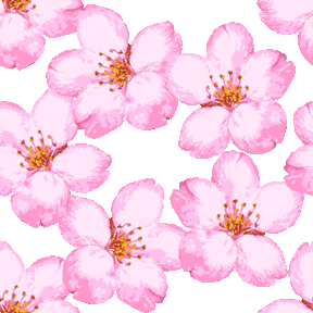 スマホ用ページ ブラシタッチさくらの花 No 574 リアル桜の花の壁紙用イラスト 条件付フリー素材集