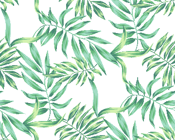 ヤシ系植物の葉＜ジャングルの葉のイラスト壁紙／条件付フリー素材