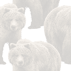 リアルタッチ灰色熊（ハイイログマ）の背景