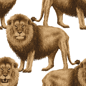 りあるたっちライオン＜ライオンのイラスト壁紙／条件付フリー素材