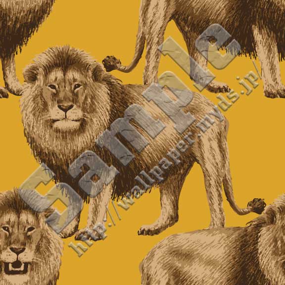 ライオン＜345 リアルらいおん＞の背景画像・壁紙