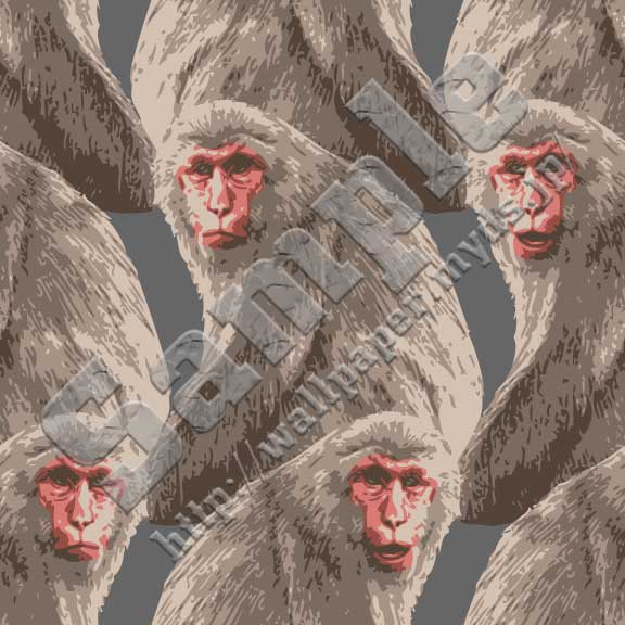 猿（さる）＜045 ニホンザル＞の背景画像・壁紙