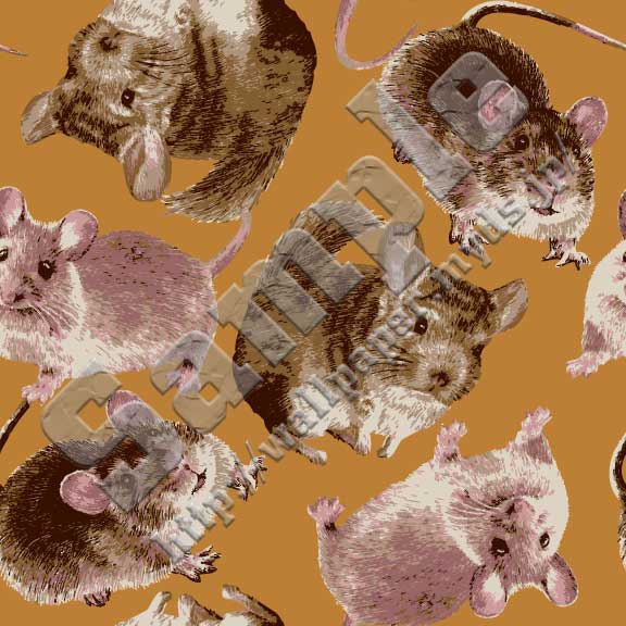 鼠（ラット・チンチラ・ハツカネズミ）の壁紙サンプル