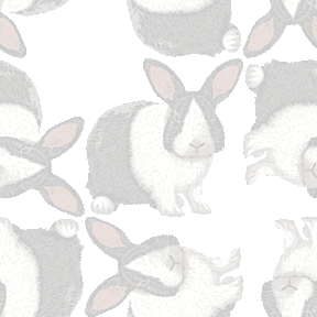 025 パンダウサギ＞兎・兔（うさぎ）のテキスタイル図案／非商用無料イラスト