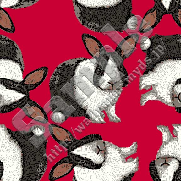 ウサギ＜025 パンダウサギ＞の背景画像・壁紙
