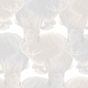096 ネザーランドドワーフ＞兎・兔（うさぎ）のテキスタイル図案／非商用無料イラスト