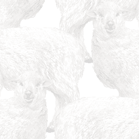 リアルタッチ羊の背景図案
