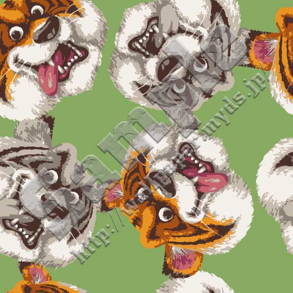 虎の顔（タイガー＆ホワイトタイガー）の壁紙サンプル