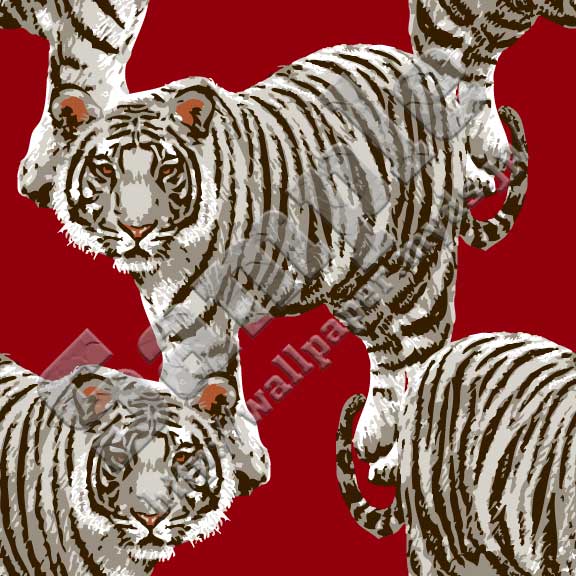 虎（とら）＜020 ホワイトタイガー＞の背景画像・壁紙