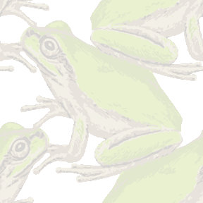 リアルタッチ雨蛙（あまがえる）の背景図案