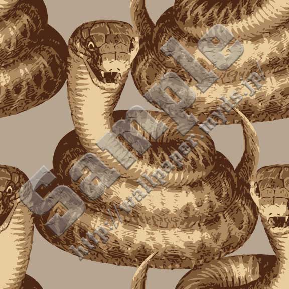 ヘビ＜027 とぐろヘビ＞の背景画像・壁紙
