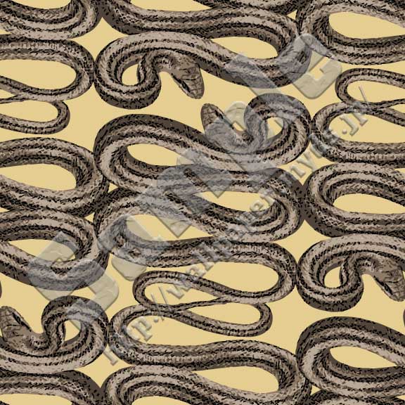 ヘビ＜028 リアル縞ヘビ＞の背景画像・壁紙