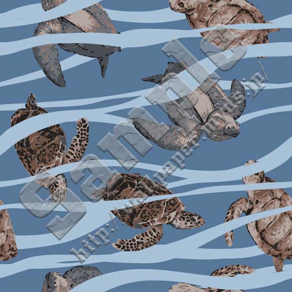 海亀（アカウミガメ、タイマイ、オサガメ）のパターンサンプル