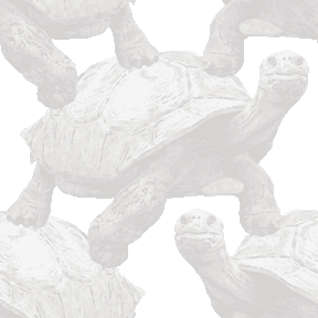 169 ガラパゴスゾウガメ＞亀（かめ）のテキスタイル図案／非商用無料イラスト