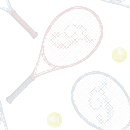 379 テニスラケット＆ぼーる＞テニス・庭球（てにす・ていきゅう）のテキスタイル図案／非商用無料イラスト