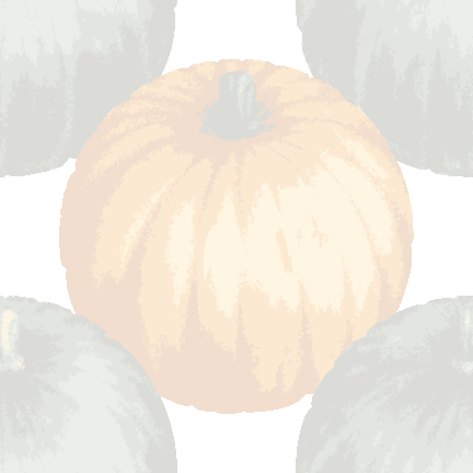 リアルタッチかぼちゃの背景図案