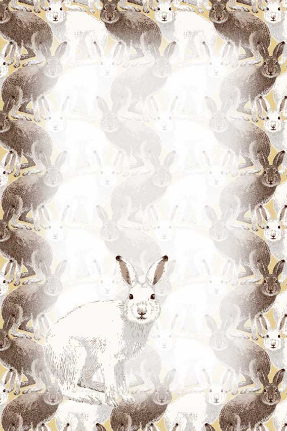 兎・卯年（うさぎどし）＞冬毛・夏毛の雪兔の葉書サイズイラスト・フリー