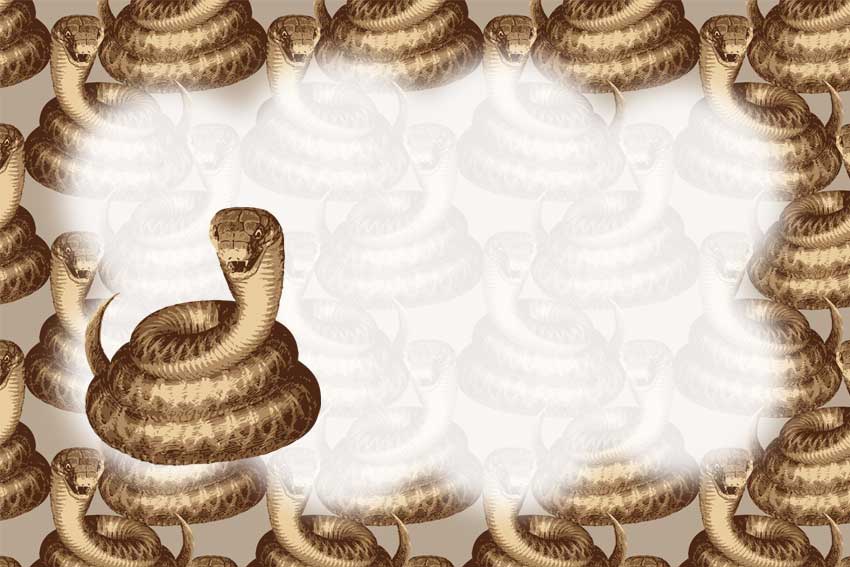 セピアヘビ＜蛇・巳年（へびどし）のポストカードイラスト・無料
