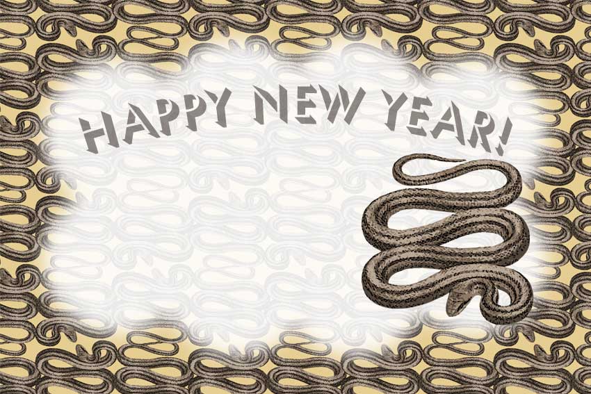 シマ蛇の年賀用イラスト