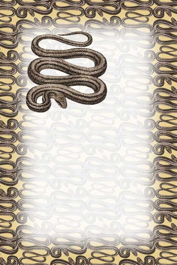 蛇・巳年（へびどし）＞リアルしまへびの葉書サイズイラスト・フリー